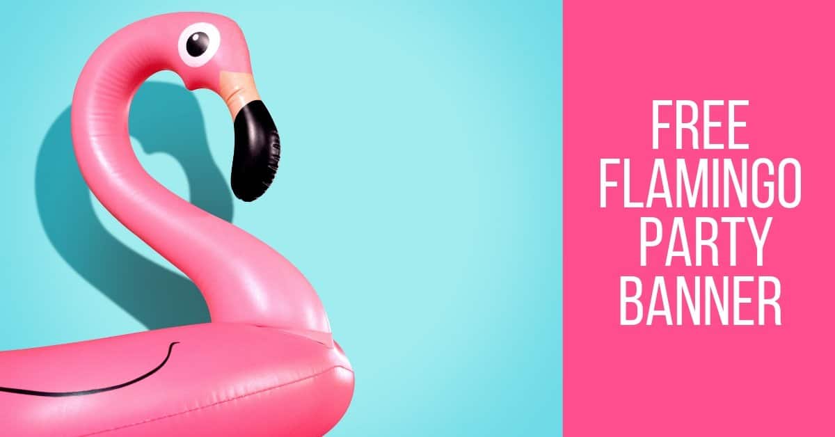 Flamingo Roblox Happy Birthday