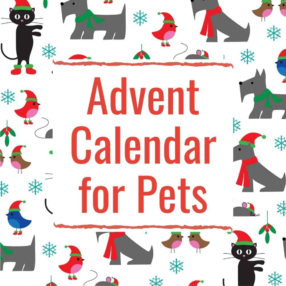 Advent Calendar Ideas for 2024 (Kids Adults Pets) Parties Made Personal