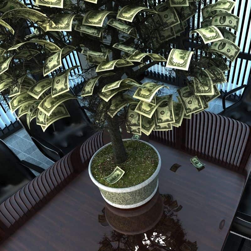 how to make a money tree for birthday